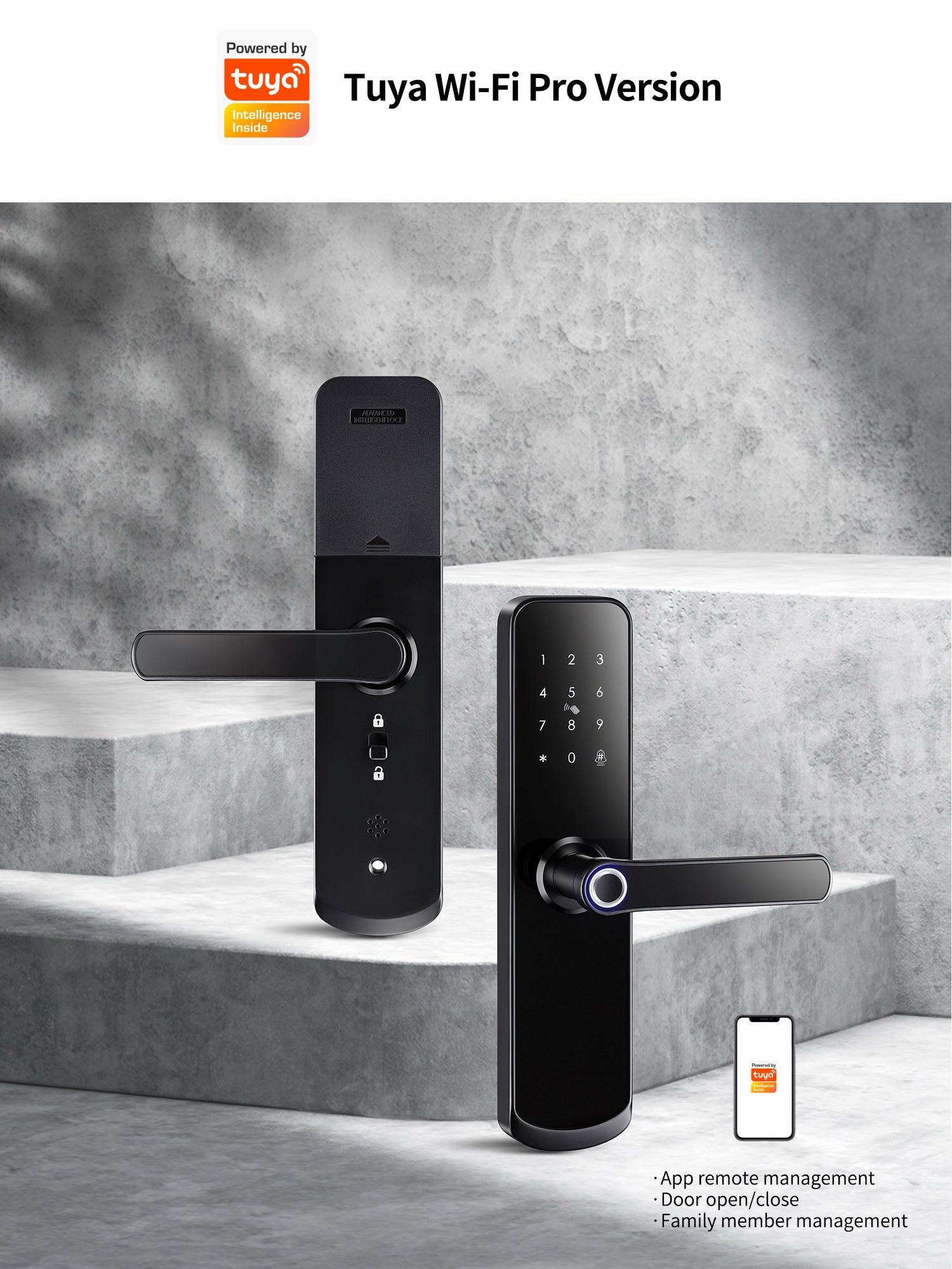 260A - homekt - Specialty department stores