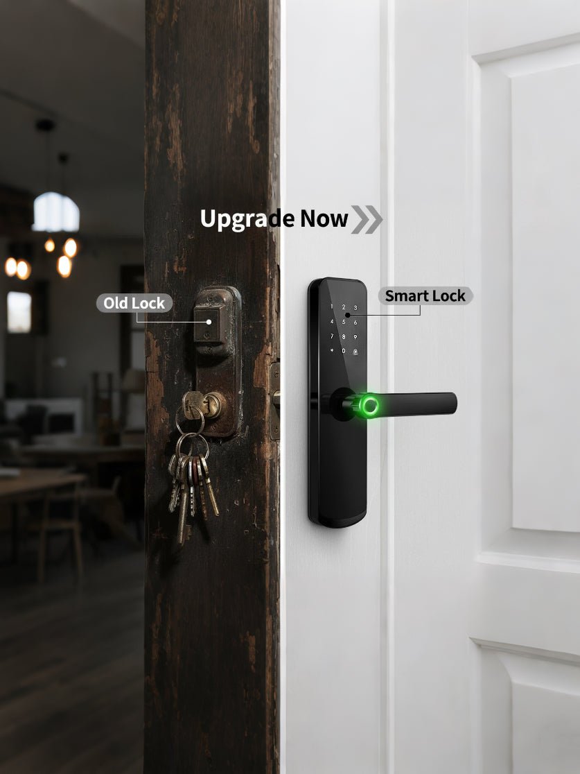 260A - homekt - Specialty department stores