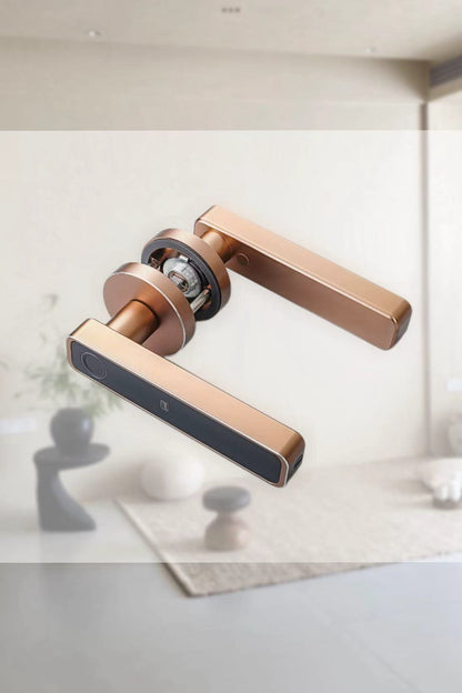 LVD - 15B - homekt - Specialty department stores