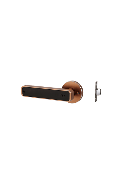 LVD - 15B - homekt - Specialty department stores