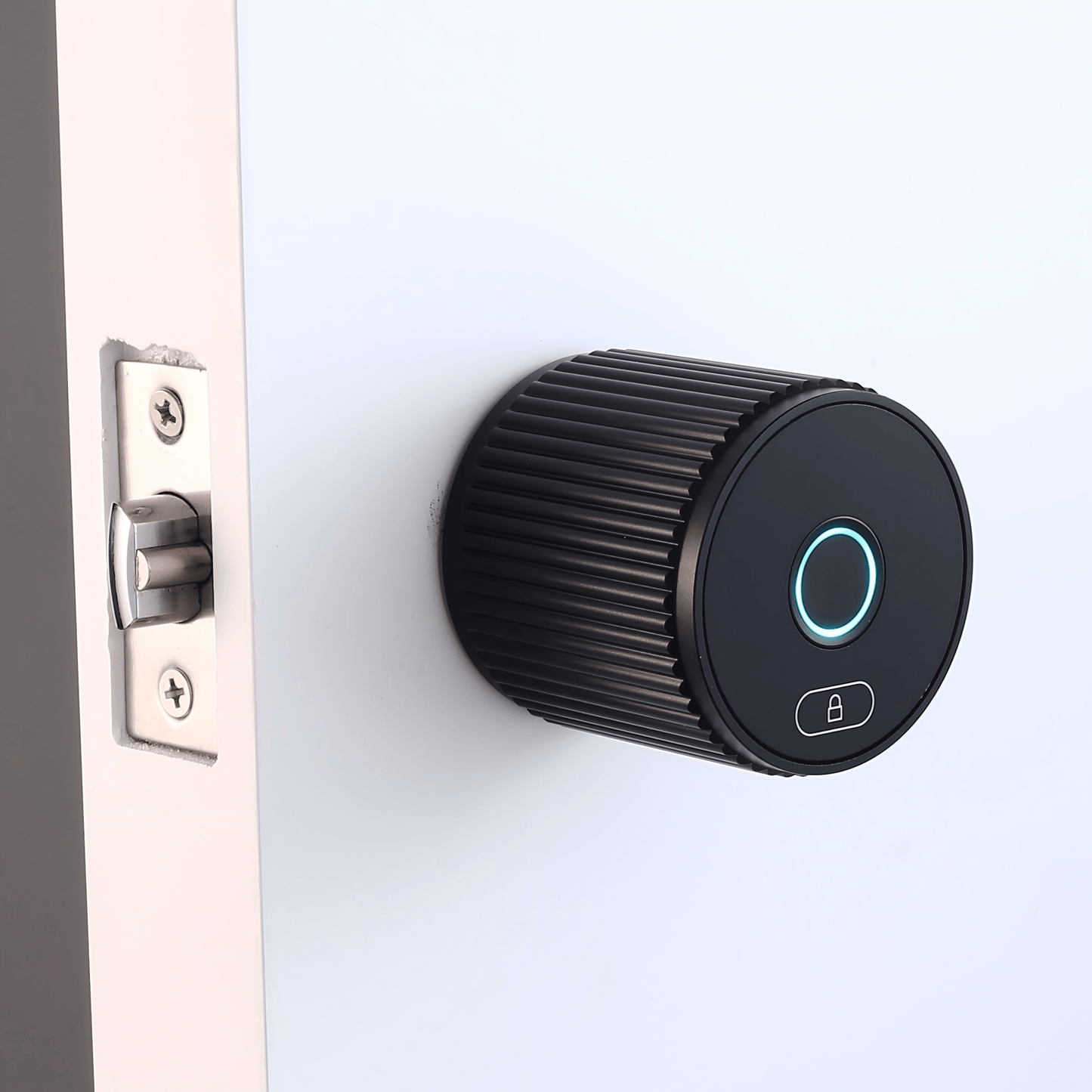 LVE - 17B - homekt - Specialty department stores