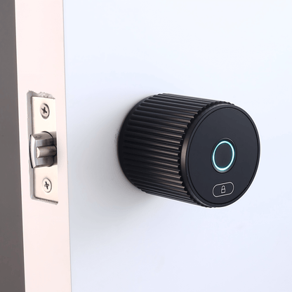 LVE - 17B - homekt - Specialty department stores