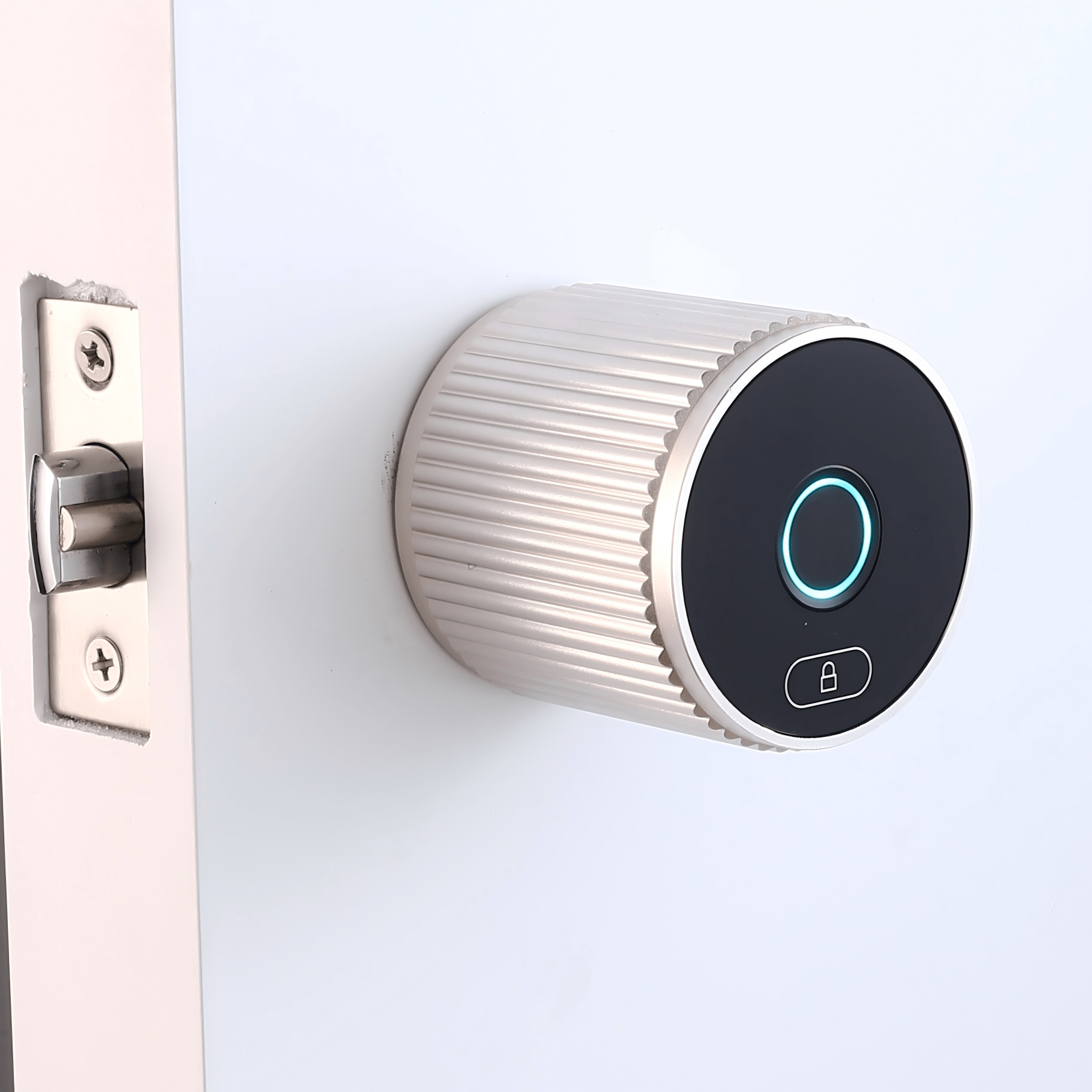 LVE - 17B - homekt - Specialty department stores