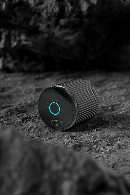 LVE - 17B - homekt - Specialty department stores