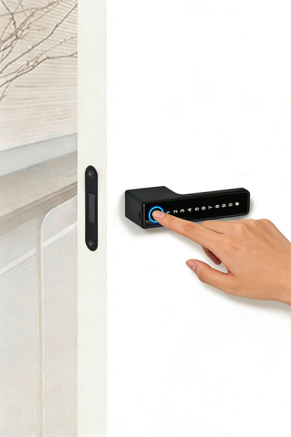 Y01 - homekt - Specialty department stores